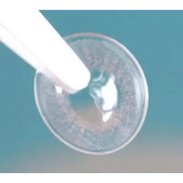 European BeBe Gray 13.4mm